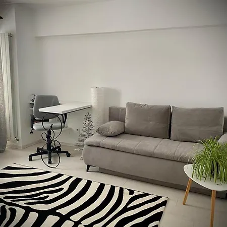 Appartement Casa Nadia Braşov Extérieur photo
